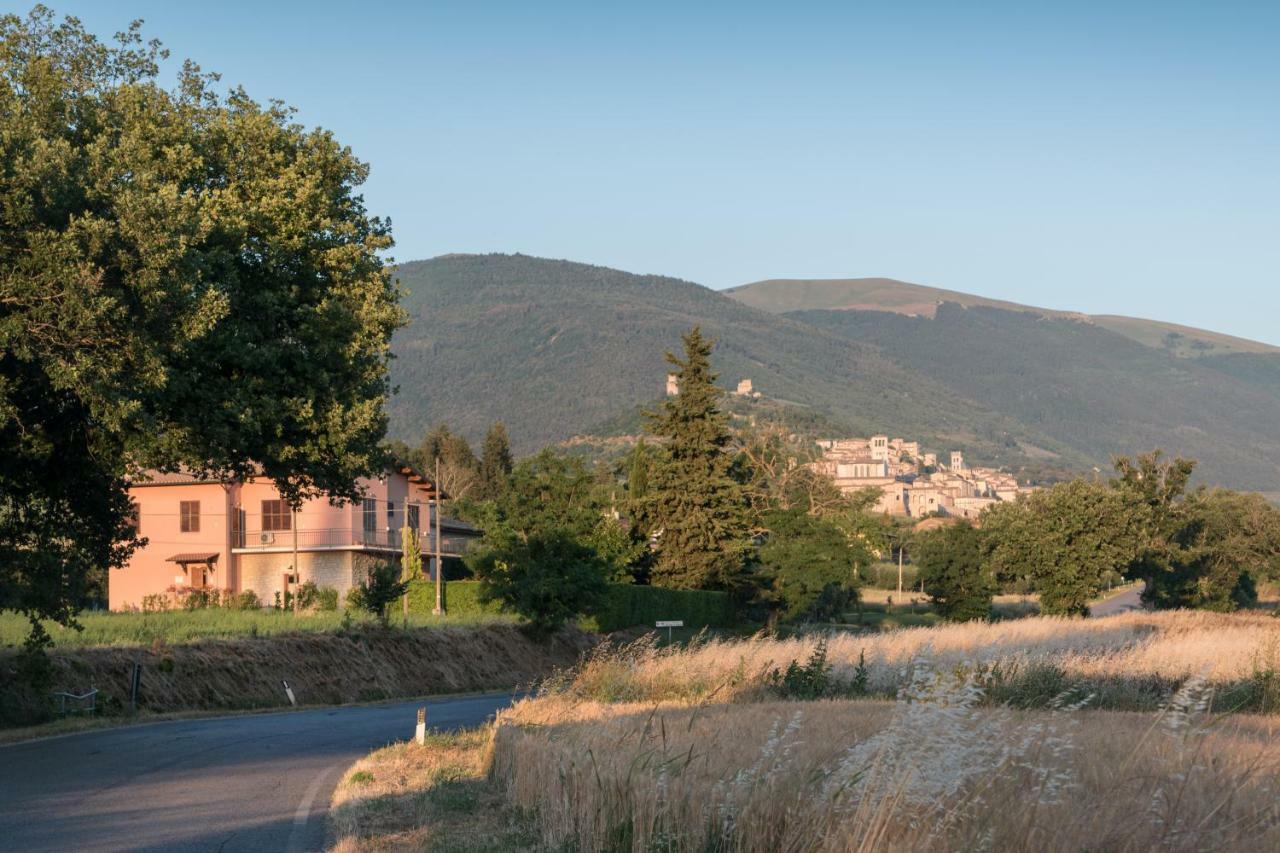Bed & Breakfast Al Pian D'Assisi Exterior photo